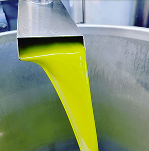 Molitura delle Olive